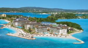 pet-friendly caribbean resorts