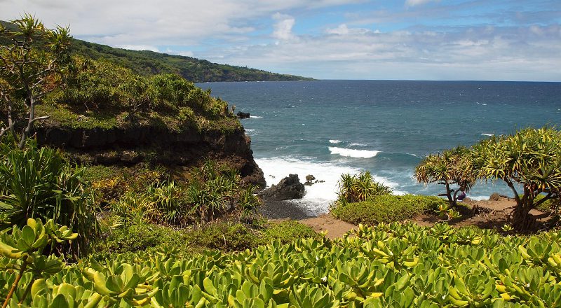 maui hawaii tropical travel tips