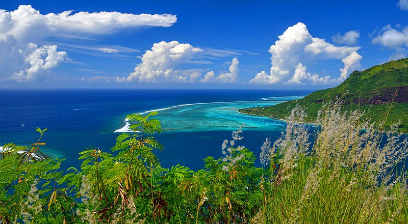 moorea french polynesia getaway plans