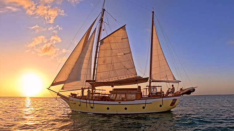things to do in saint george's grenada sunset champagne cruise on a classic schooner
