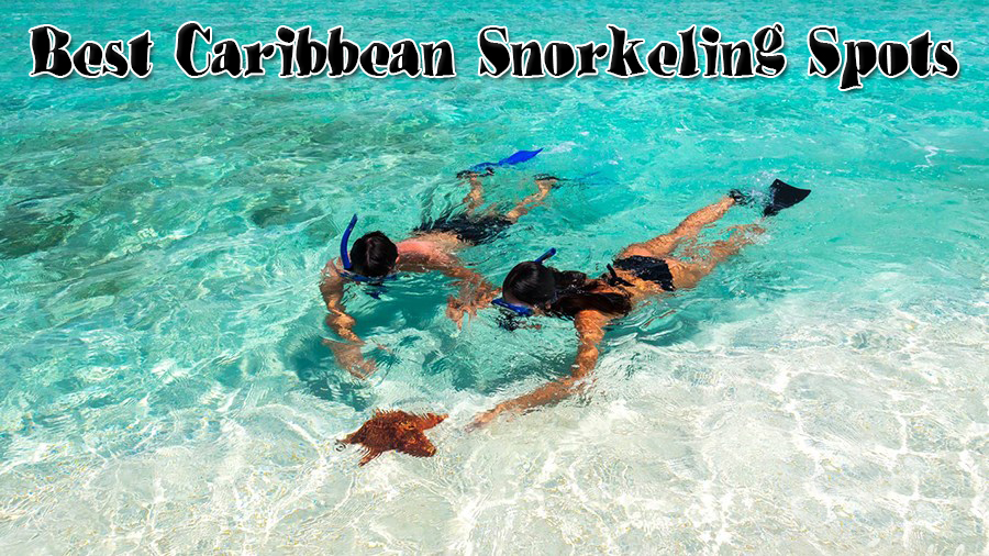 best caribbean snorkeling spots under water scuba diving