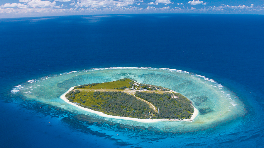 top 10 best great barrier reef resorts australia