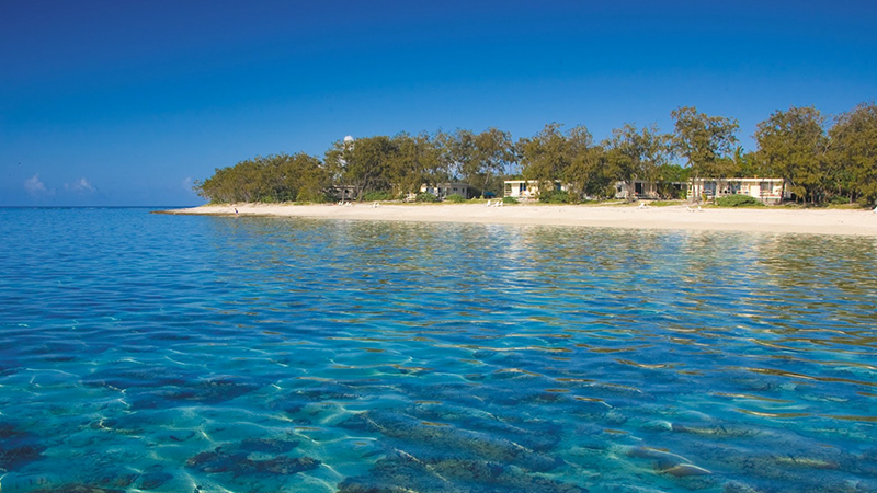 top 10 best great barrier reef hotels lady elliot