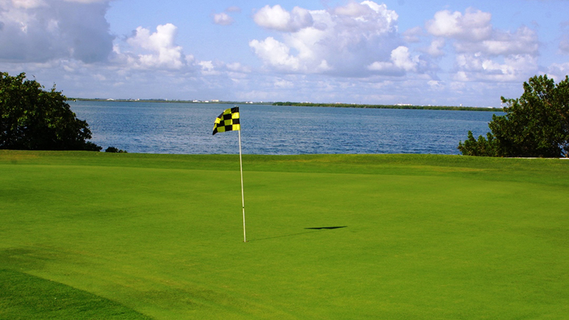 best things to do in cancun mexico golf course