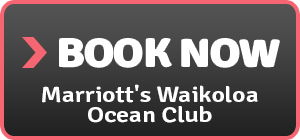 marriott's waikoloa ocean club hawaii luxury hotel