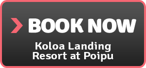 koloa landing resort at poipu hawaii hotel
