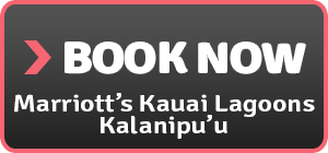 marriott’s kauai lagoons hawaii hotel