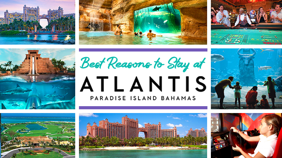 best reasons to stay at atlantis paradise island bahamas vacation ideas