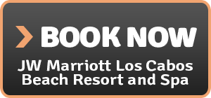 jw marriott los cabos beach resort and spa mexico vacation