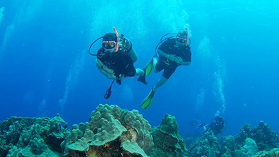 hilton puerto vallarta resort mexico best scuba diving