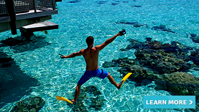 hilton moorea lagoon resort pacific island vacation best places to scuba dive