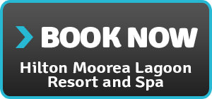 hilton moorea lagoon resort and spa pacific island best places to stay