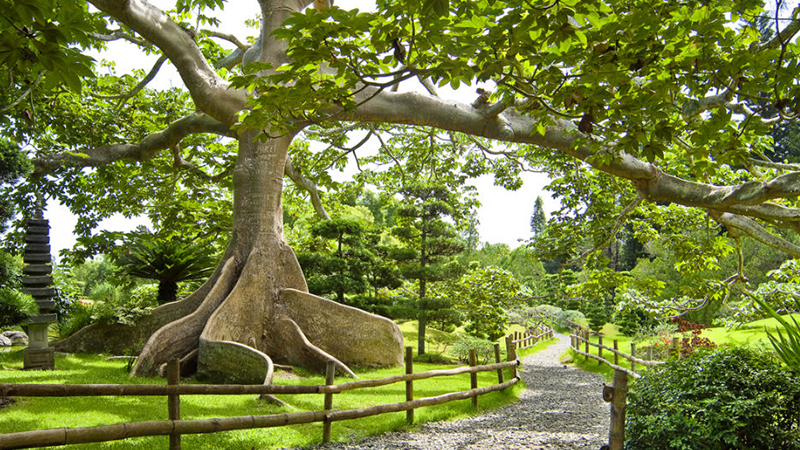 things to do in the dominican republic national botanical gardens