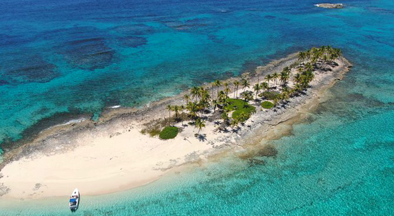 paradise island bahamas things to do oasis ocean 7 boat charter