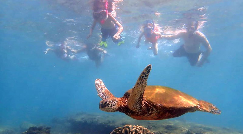 koloa fun things to do hawaii seafun snorkel