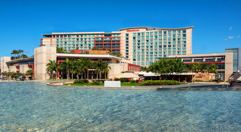 caribbean pet-friendly vacation Sheraton puerto rico hotel an casino