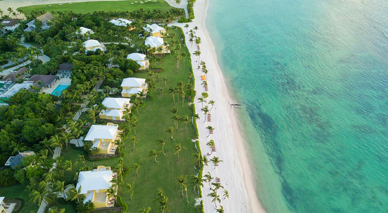 caribbean pet-friendly getaway tortuga bay hotel puntacana resort & club