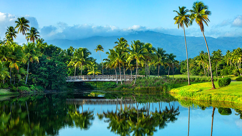 best caribbean golf vacation packages puerto rico golfing