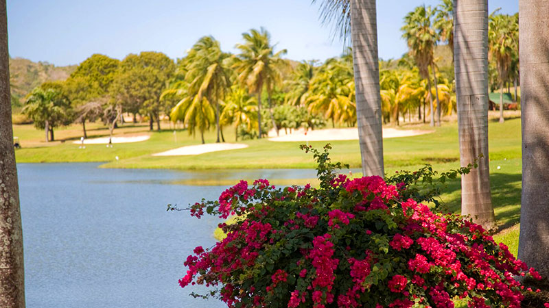 caribbean golf vacation packages us virgin islands angilla championship courses
