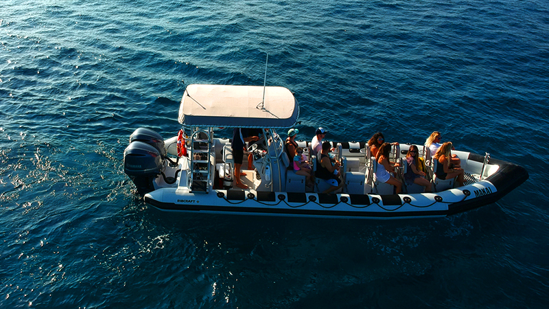 kona wildlife powerboat cruise tourist attraction