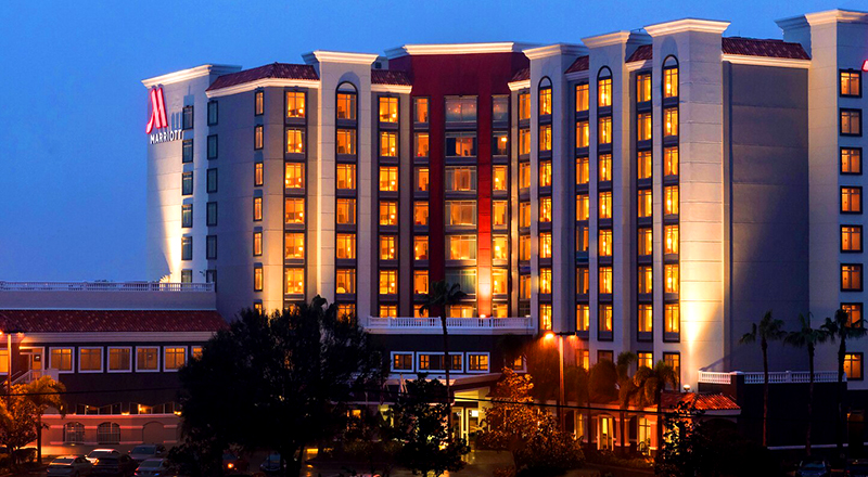 top marriott hotels in florida st petersburg marriott clearwater luxury getaway