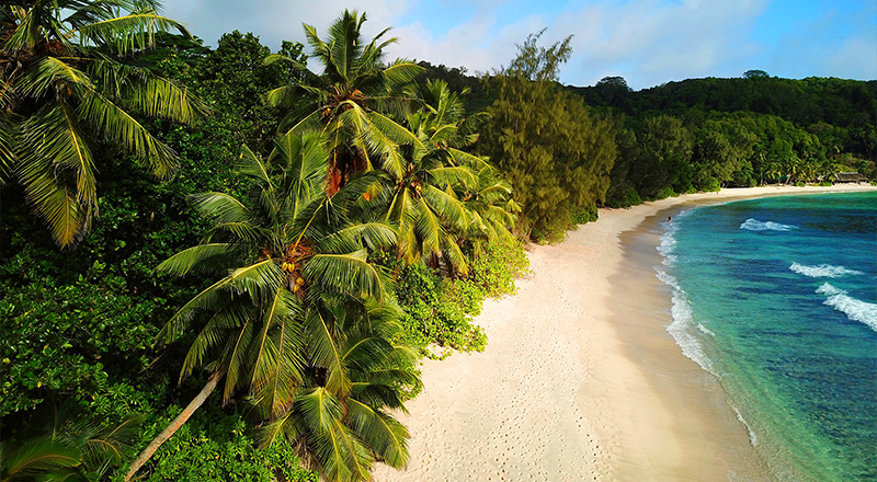 safest caribbean islands barbados tropical travel