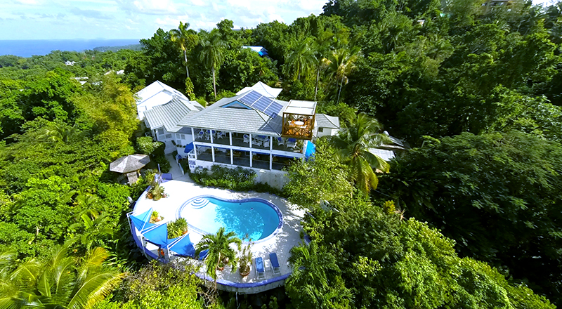 weed-friendly hotels in jamaica hotel mockingbird hill tropical inn