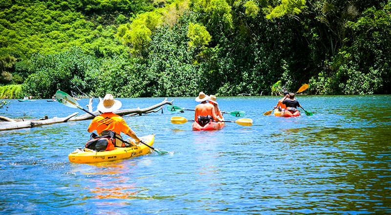 best things to do in kapaʻa hawaii guided kayak adventure on the wailua river