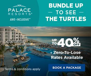 palace resorts bundle to see the turtles best caribbean travel deals