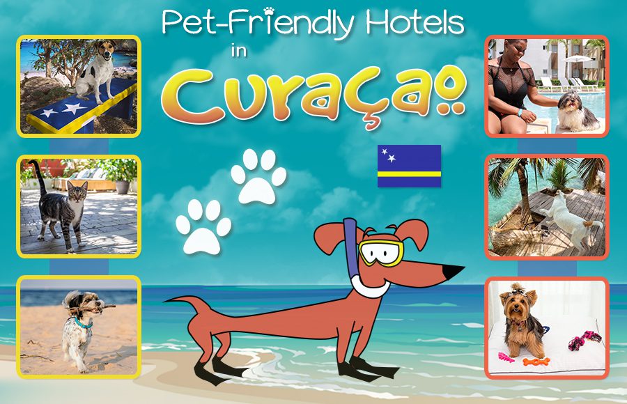 best pet-friendly hotels in curaçao dog vacation ideas