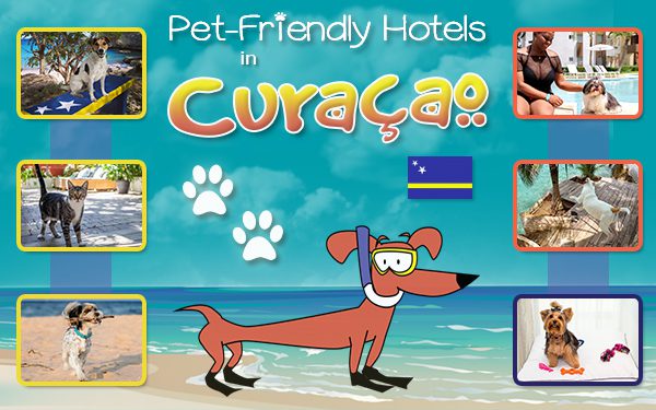top pet-friendly hotels in curaçao dog travel tips