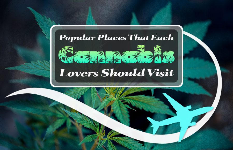 cannabis lovers should visit marijuana pot vacation ideas