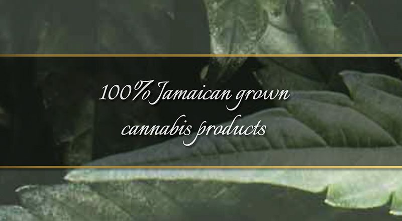 cannabis lovers should visit jamaica ganja ideas
