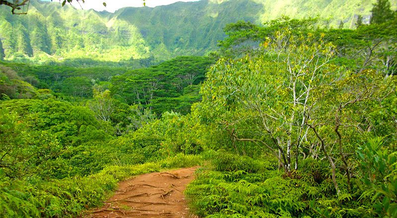 historical places in hawaii moku iki trail