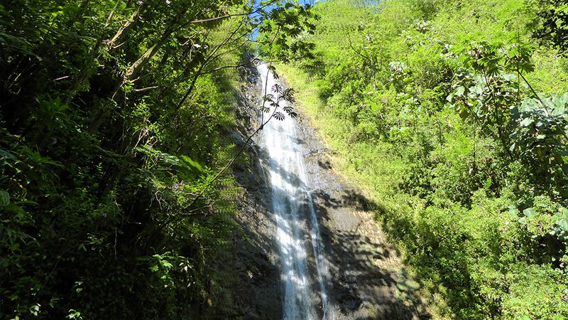 activities in oʻahu hawaii hike trail to waterfall & nature walk
